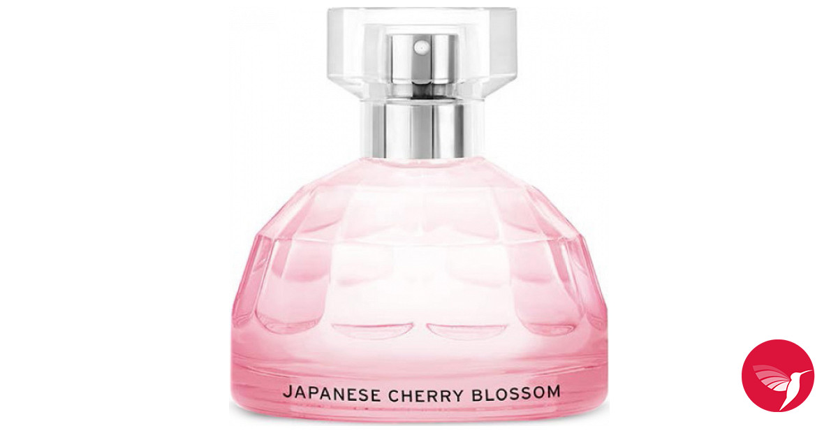 Japanese Cherry Blossom The Body Shop perfume a fragrance for women 2012