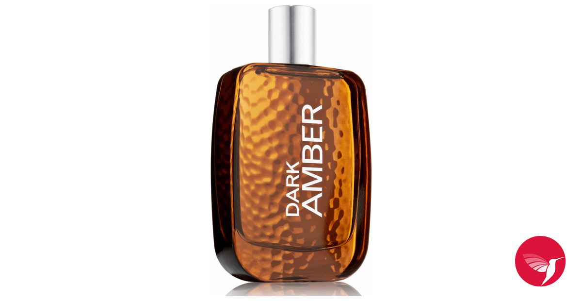 Dark Amber for Men Bath and Body Works cologne a fragrance for men 2012