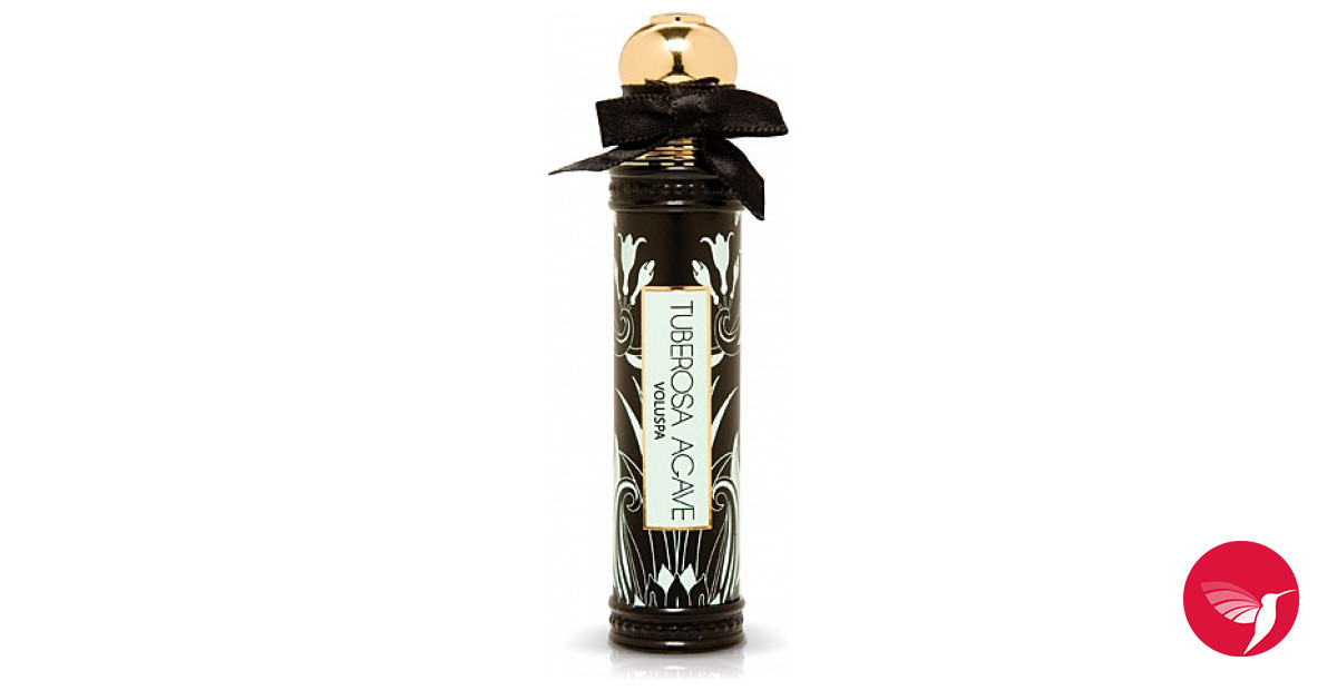 Tuberosa Agave Voluspa perfume - a fragrance for women