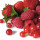 Frutas Vermelhas