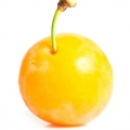 Mirabelle Mirabelle