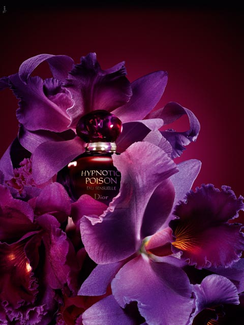 Hypnotic Poison Eau Sensuelle Christian Dior perfume - a fragrance for ...