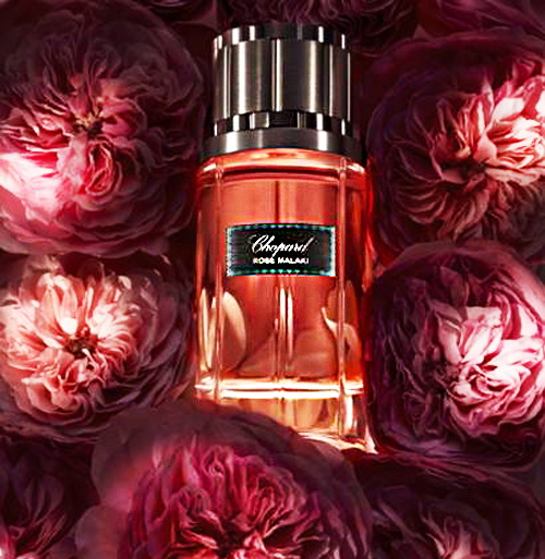 Chopard Rose Malaki Chopard perfume - a fragrance for women and men 2014