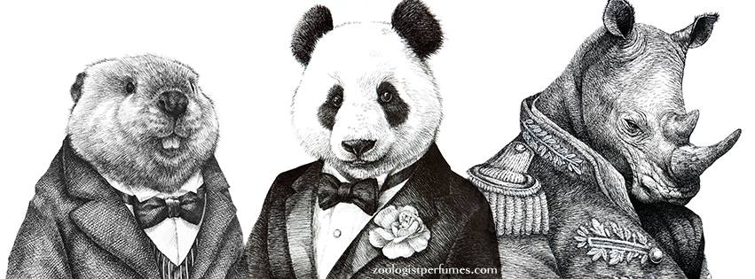 drawing how panda Panda  Perfumes for perfume  fragrance a women Zoologist