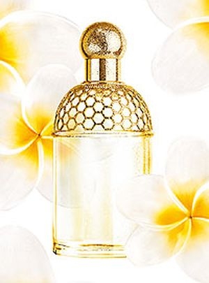 Aqua Allegoria Tiare Mimosa Guerlain perfume - a fragrance for women 2009