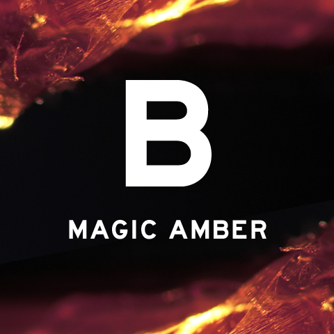 B Magic Amber Blood Concept Perfume - A New Fragrance For Women And Men ...