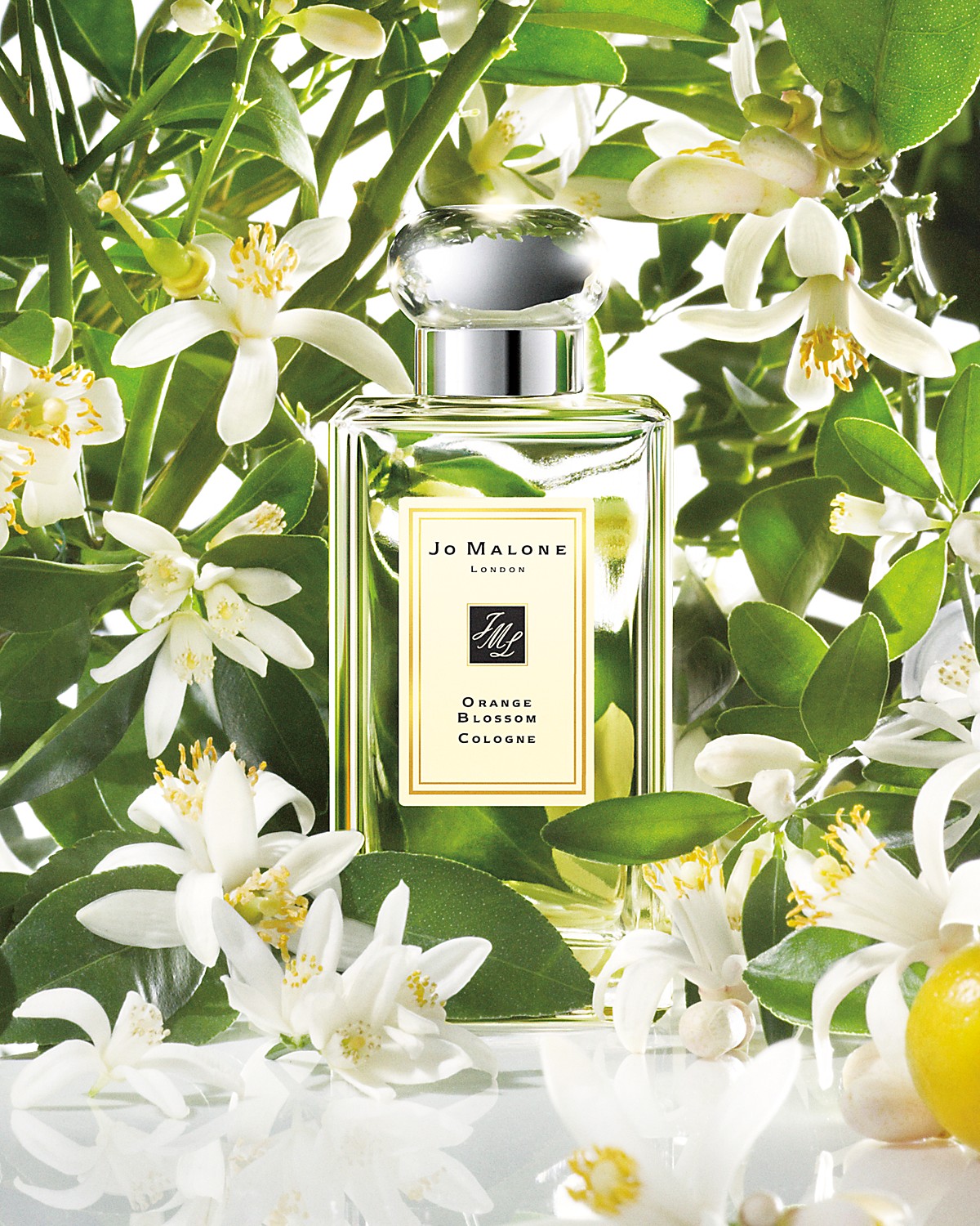 Orange Blossom Jo Malone London Parfum - ein es Parfum für Frauen und