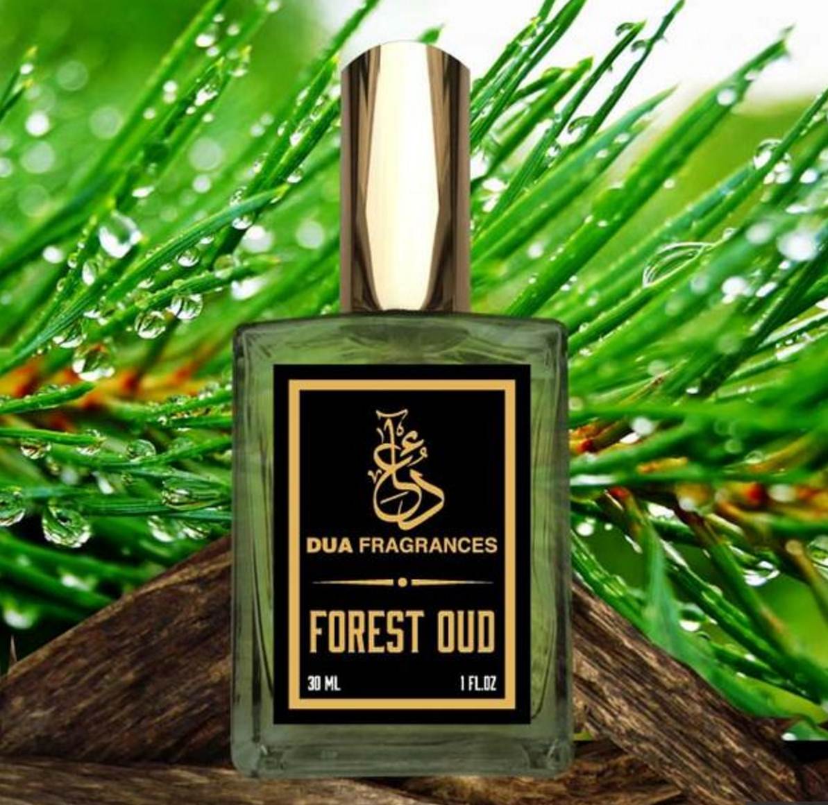 Forest Oud Dua Fragrances Parfum - Ein Es Parfum Für Frauen Und Männer