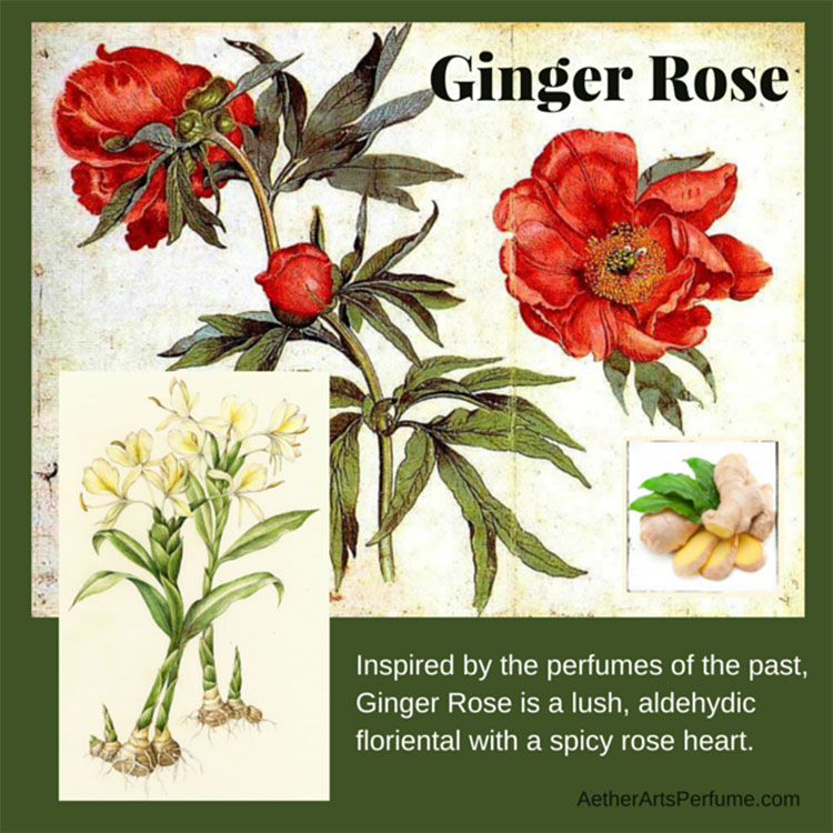 Ginger Rose Aether Arts Perfume perfume a fragrance for women and men