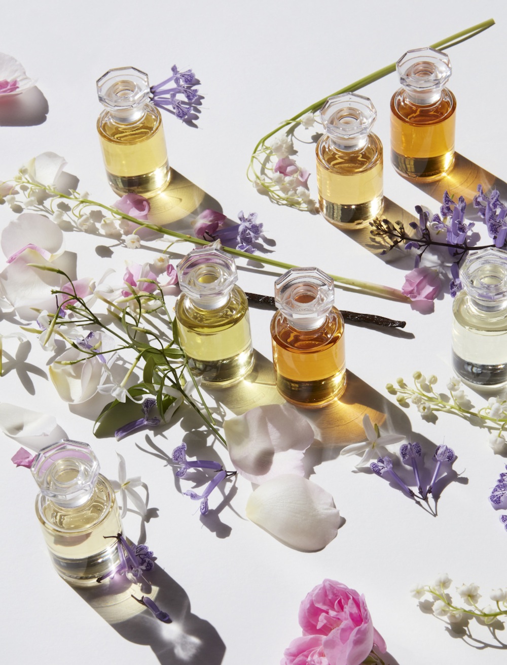 Dans la Peau Louis Vuitton perfume - a new fragrance for women 2016