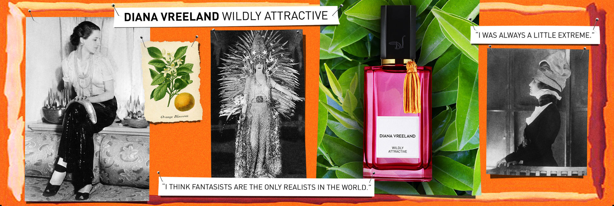 Wildly Attractive Diana Vreeland perfume - a new fragrance for women 2017