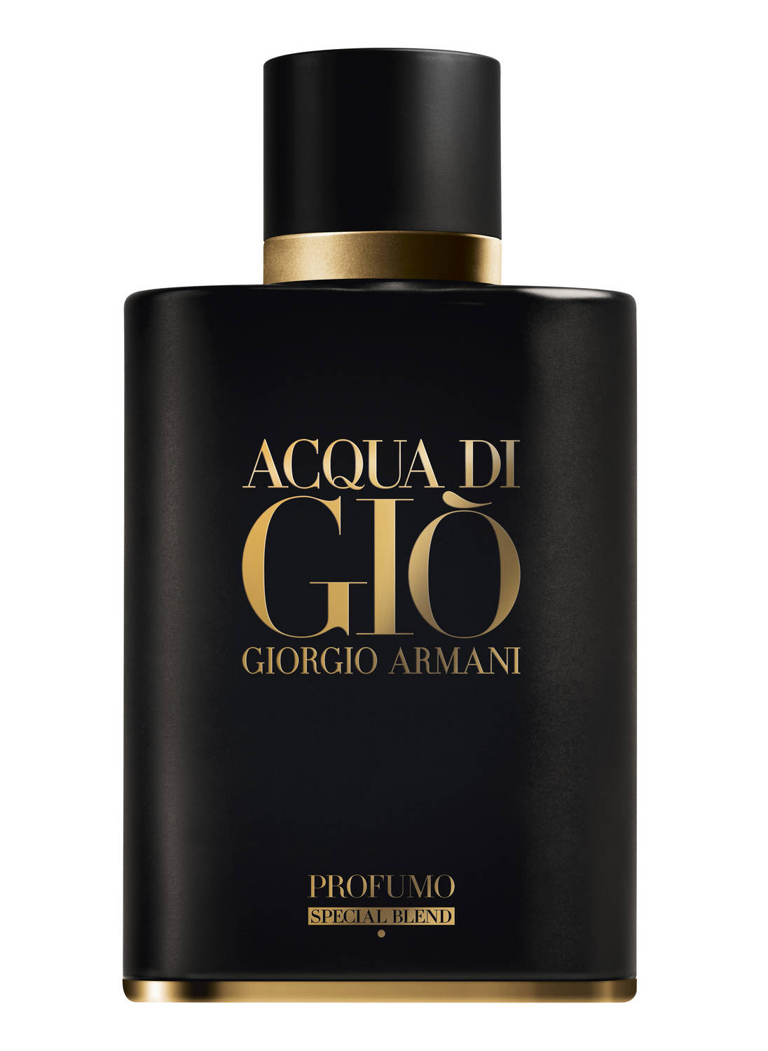 Acqua Di Gio Parfum 2024 - Windy Kakalina