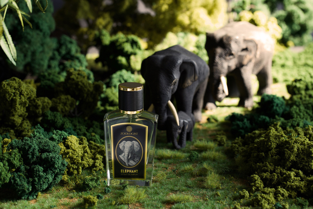 zoology meaning life of for a  fragrance Perfumes  Elephant Zoologist perfume new