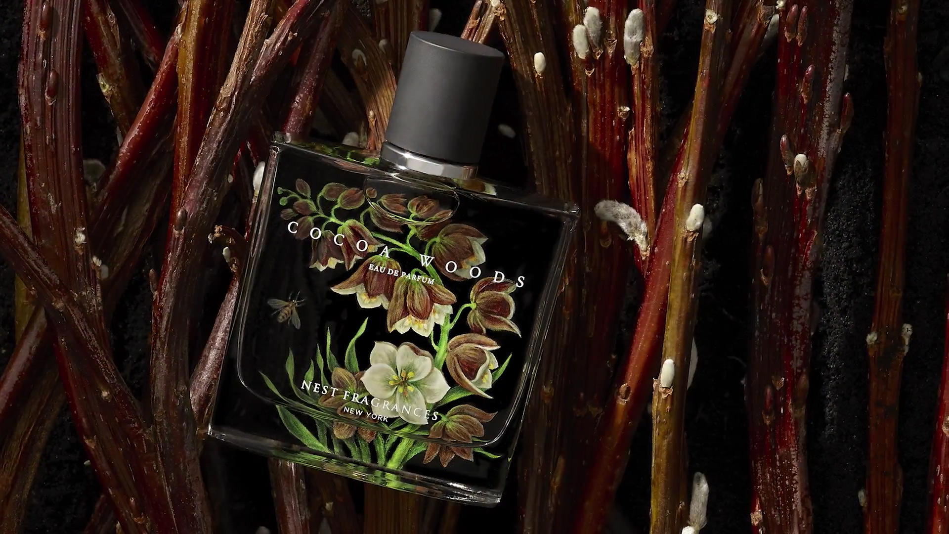 Cocoa Woods Nest perfume a new fragrance for women and men 2018