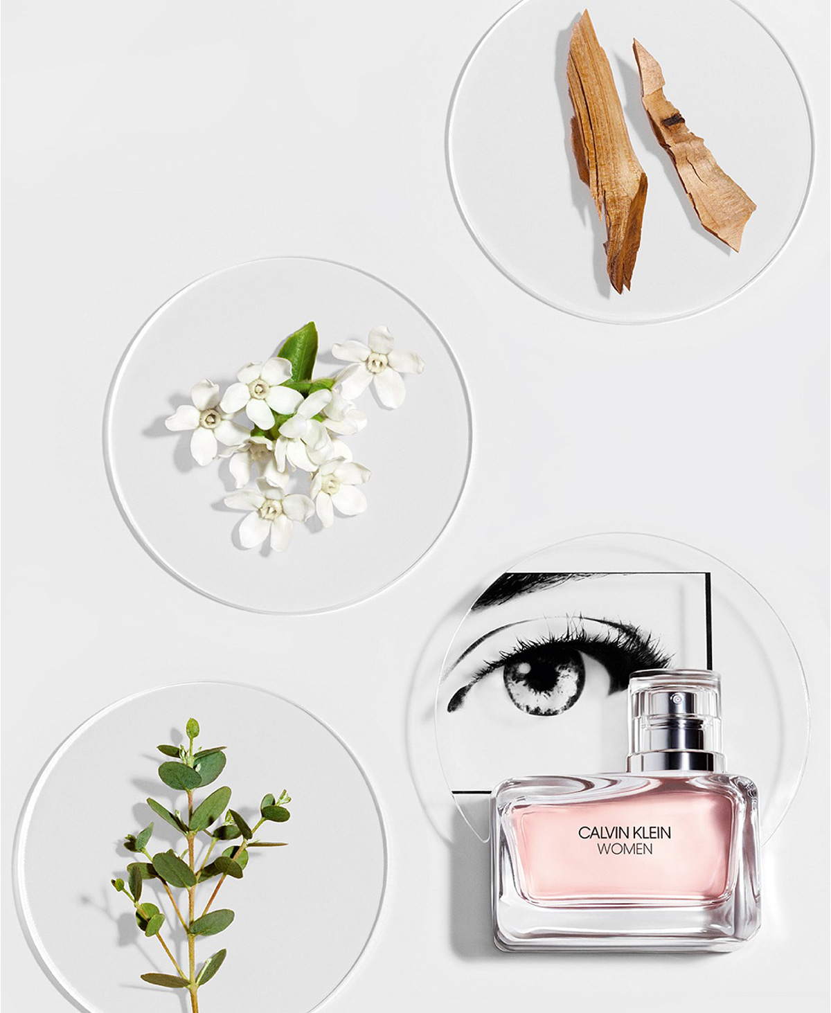 Calvin Klein Women Calvin Klein perfume a new fragrance for women 2018