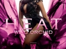 Heat Wild Orchid Beyonce 女用 图片
