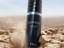 Sauvage Very Cool Spray Christian Dior 男用 图片