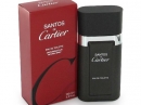 Santos de Cartier Cartier for men Pictures