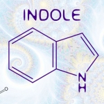 Indole: The Maestro Is Decomposing