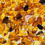 $20 Shopping Challenge - Affordable Amber on a Little Budget