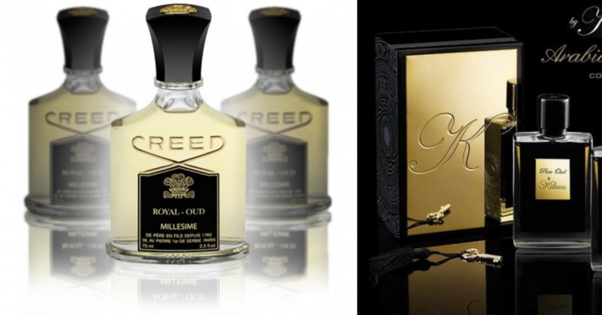 Agarwood Why is oud so popular? Niche Perfumery
