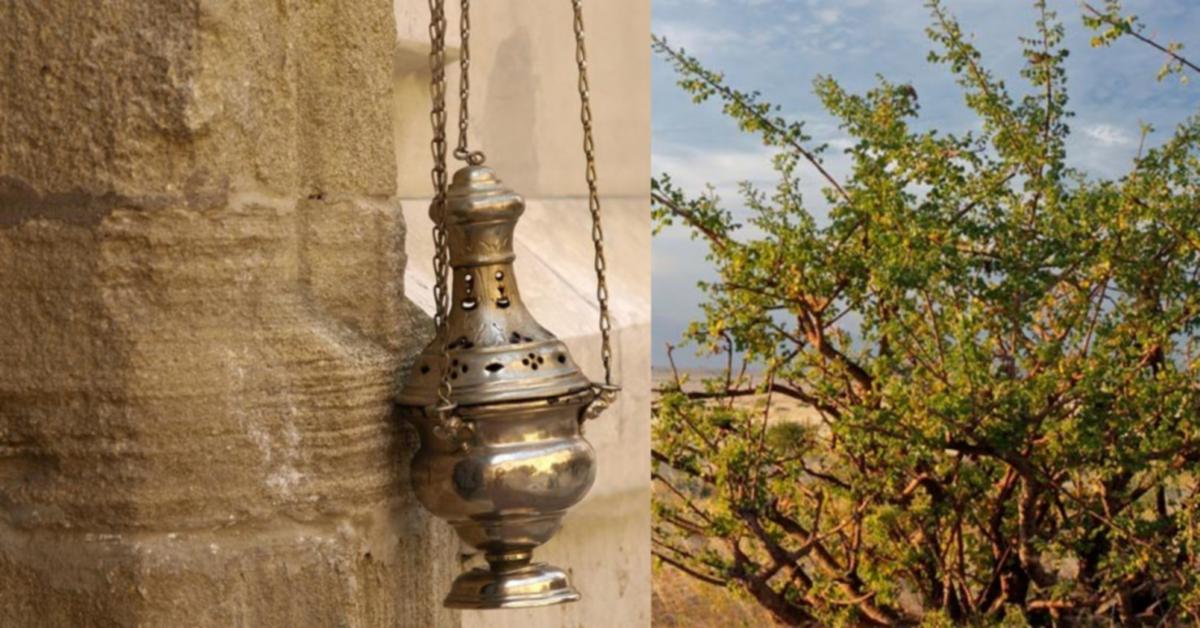 Incense Myrrh Raw Materials