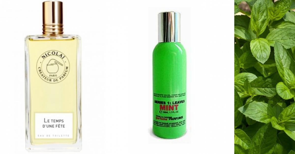 Mint as a perfume note Raw Materials