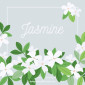 Jasmine08