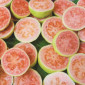 guava jelly