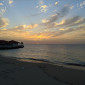 bdgarver