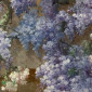 lavendernoon