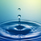 H2O
