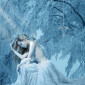 gotia79