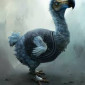 Dodo