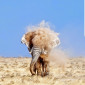 Namibia