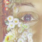 Pomelia