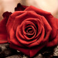 Camila_1807
