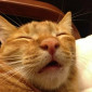musya24111977