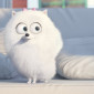 Oh_Polly