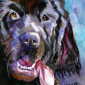buzinichev