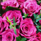 masha_m_t