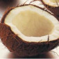 КокоNut