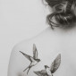martlet
