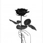 opium_rose