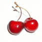 Cherry_158