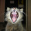 Crazy Cat