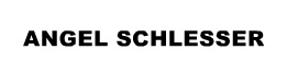 Angel Schlesser Logo