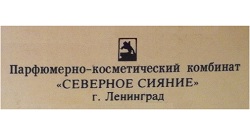 Северное сияние Logo