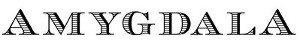 Amygdala Logo