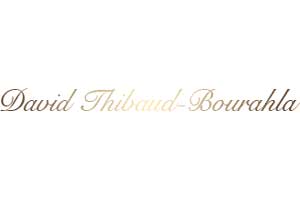 David Thibaud-Bourahla Logo